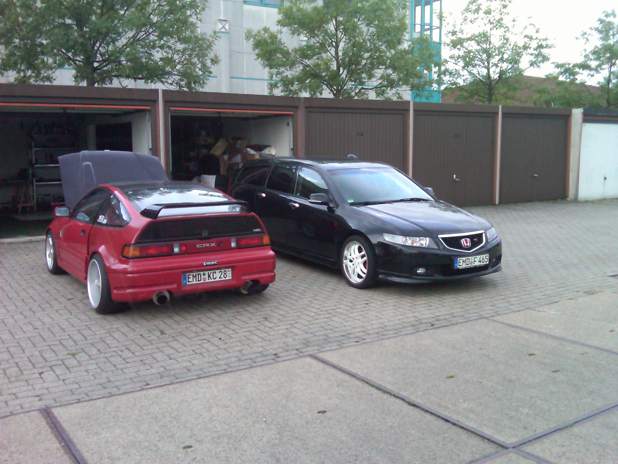IMG01080-20110827-1655.jpg