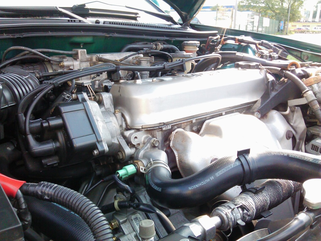 IMG_20110816_160503.jpg