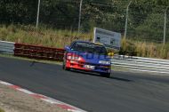 IMG_5260.jpg