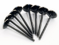 Supertech Exhaust Valves K Serie.jpeg