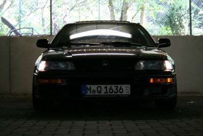 010.JPG