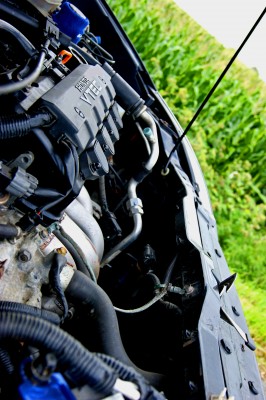 civic 056.jpg