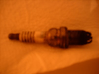 DSCI0658.JPG