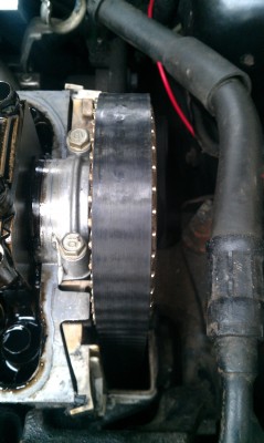 IMAG0084.jpg