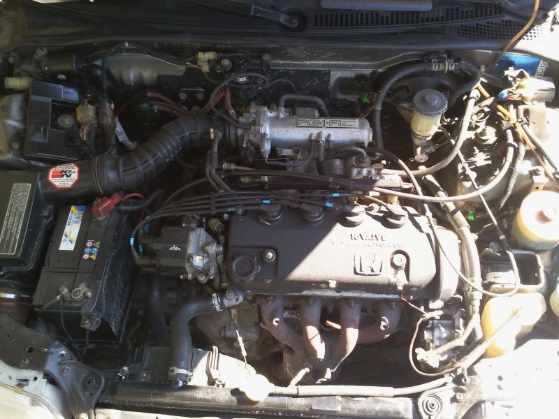 2011-09-14 13.26.20.jpg