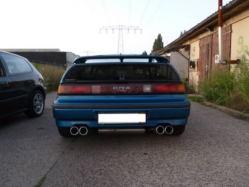 4411766_20.jpg
