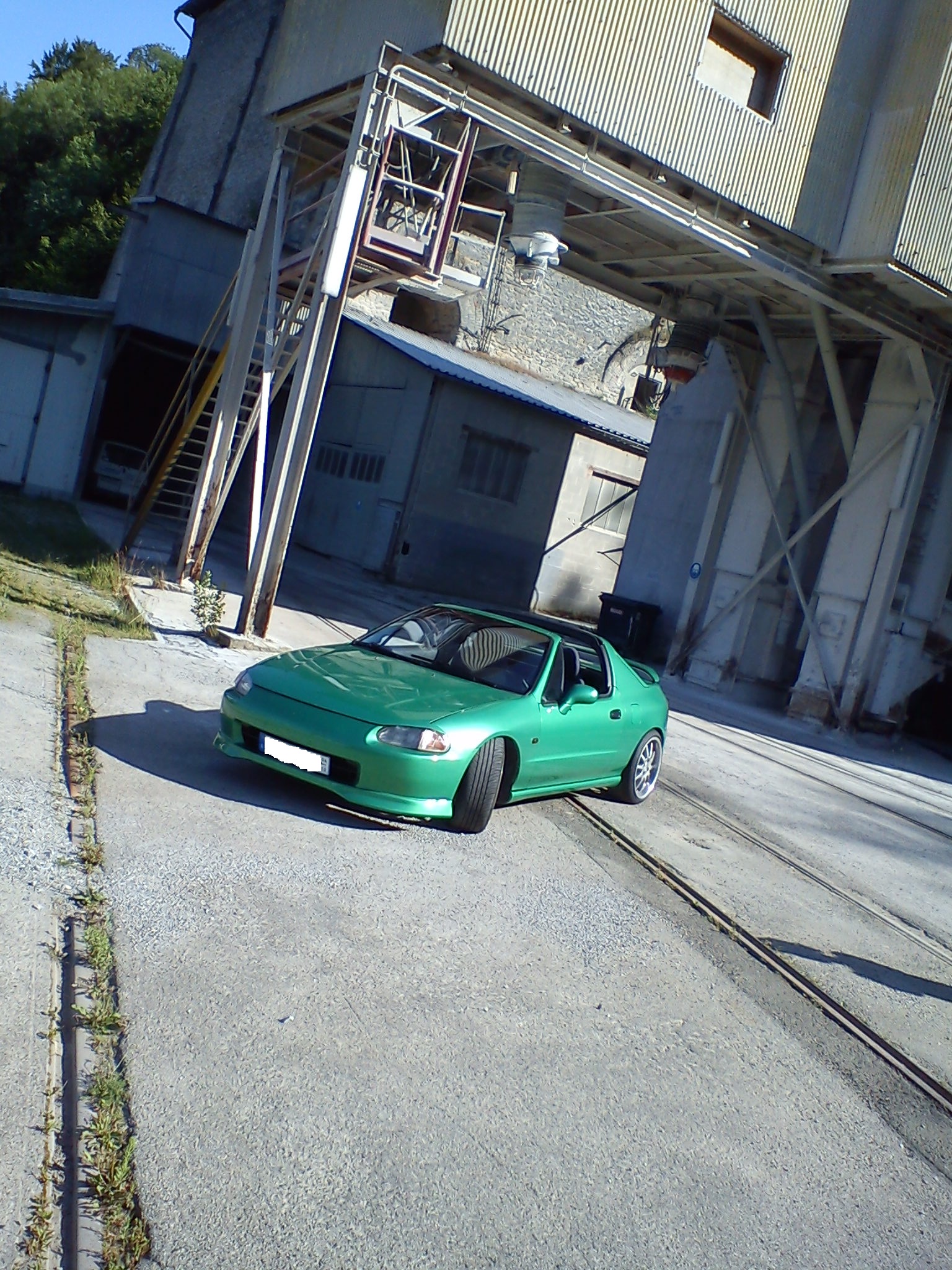 DSC08648edited.jpg