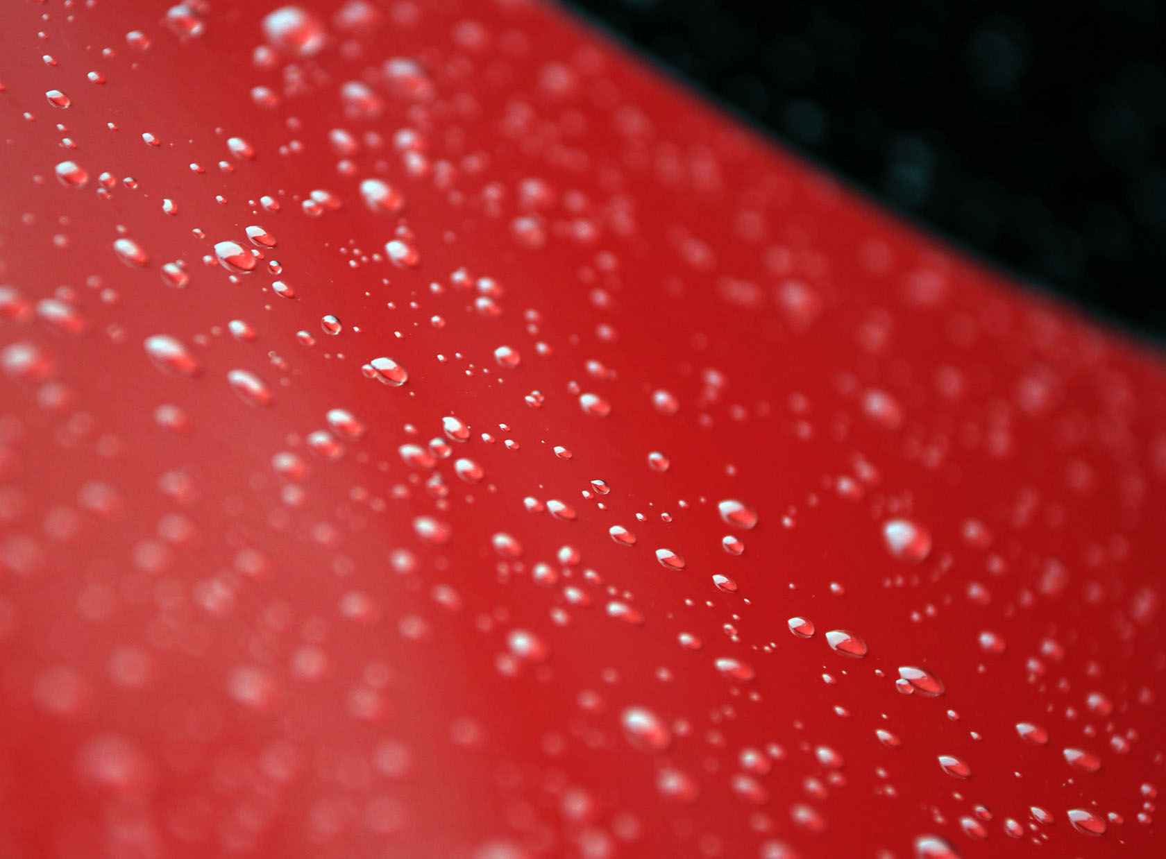 DSC_3760.JPG