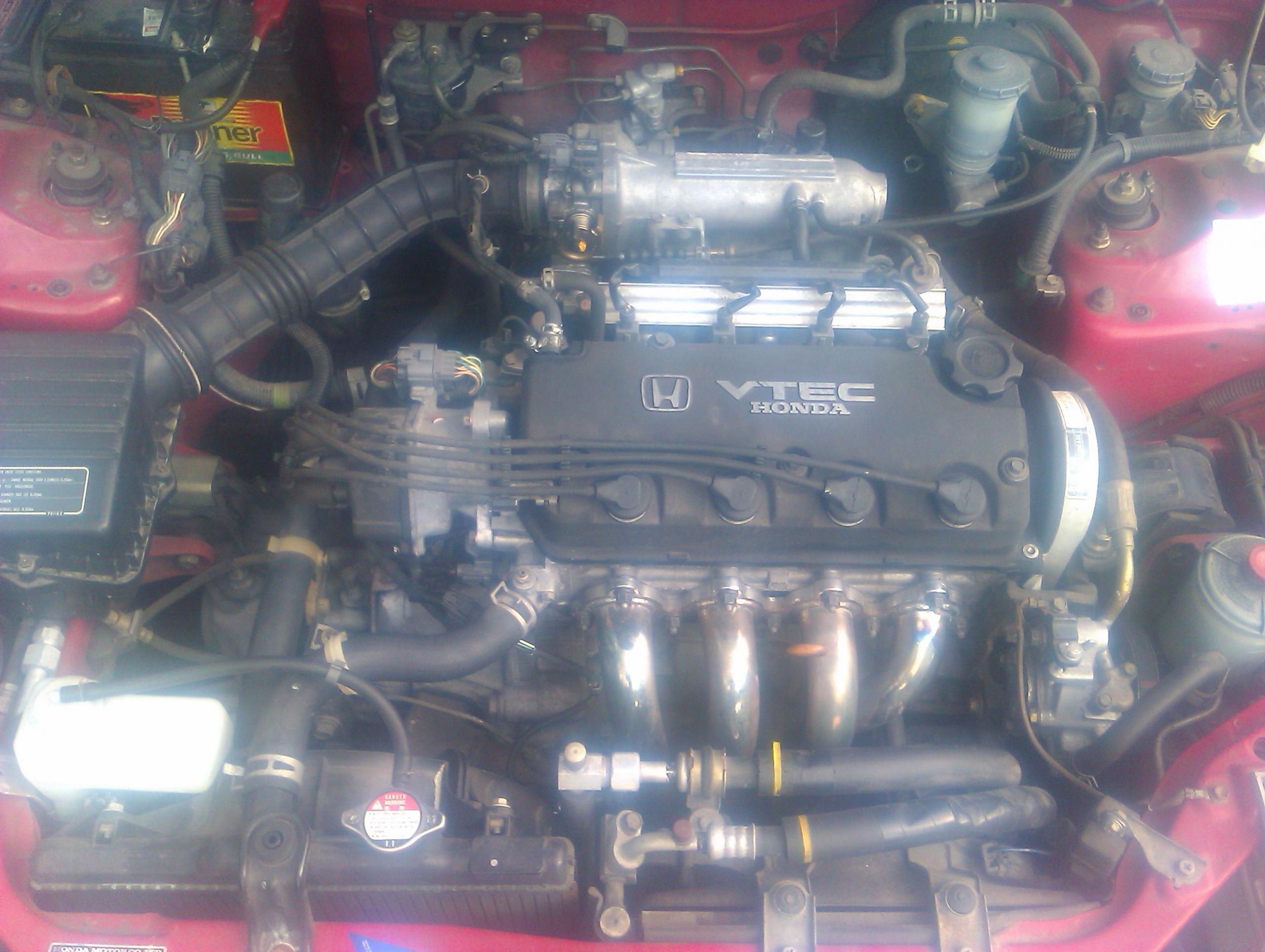 IMAG0185.jpg