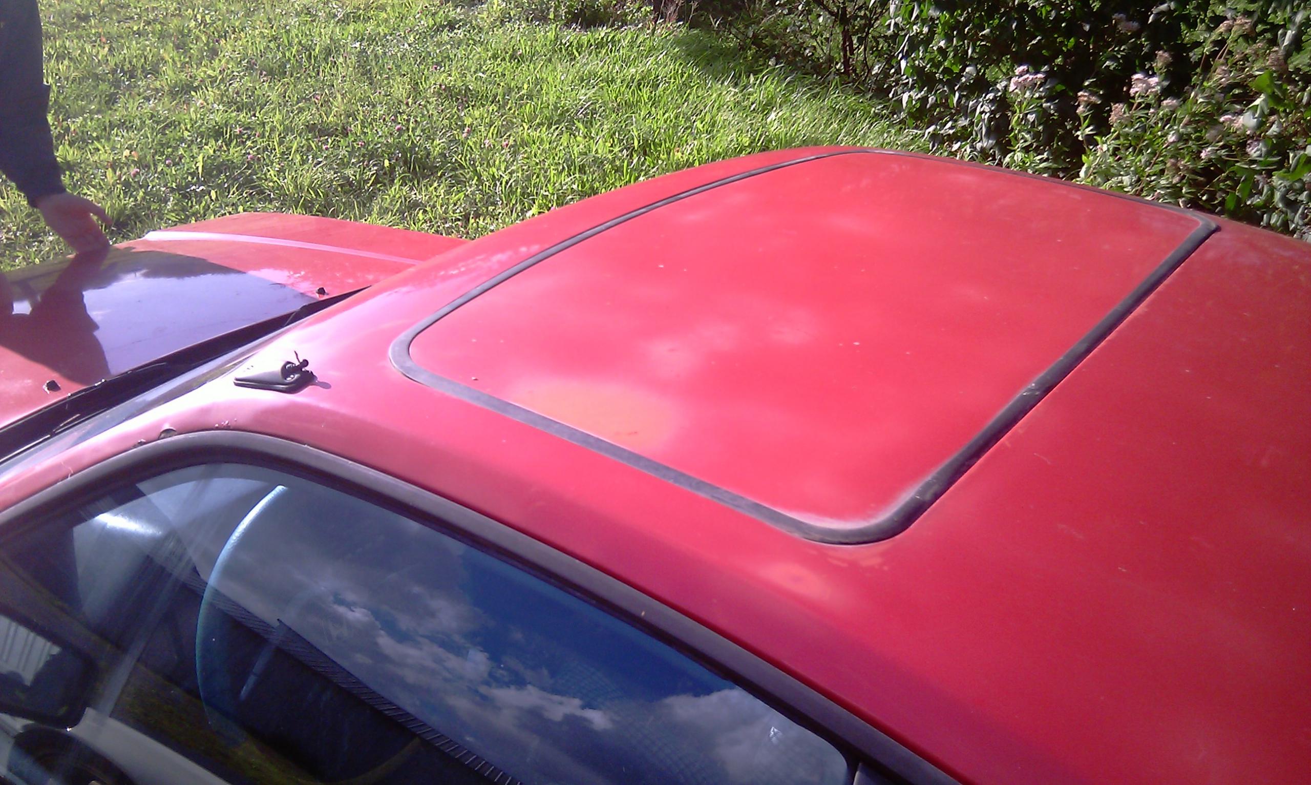 IMAG0438.jpg
