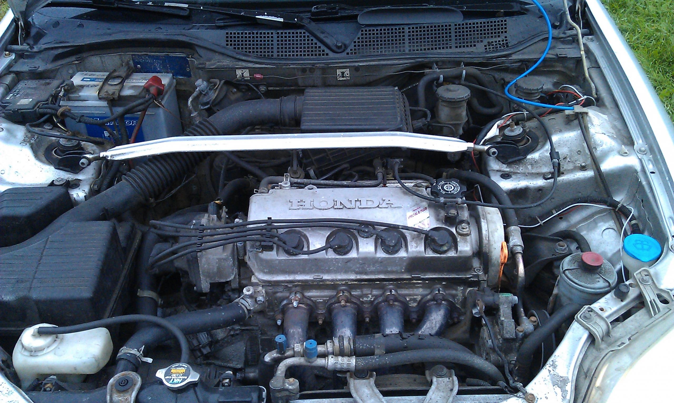 IMAG0560.jpg