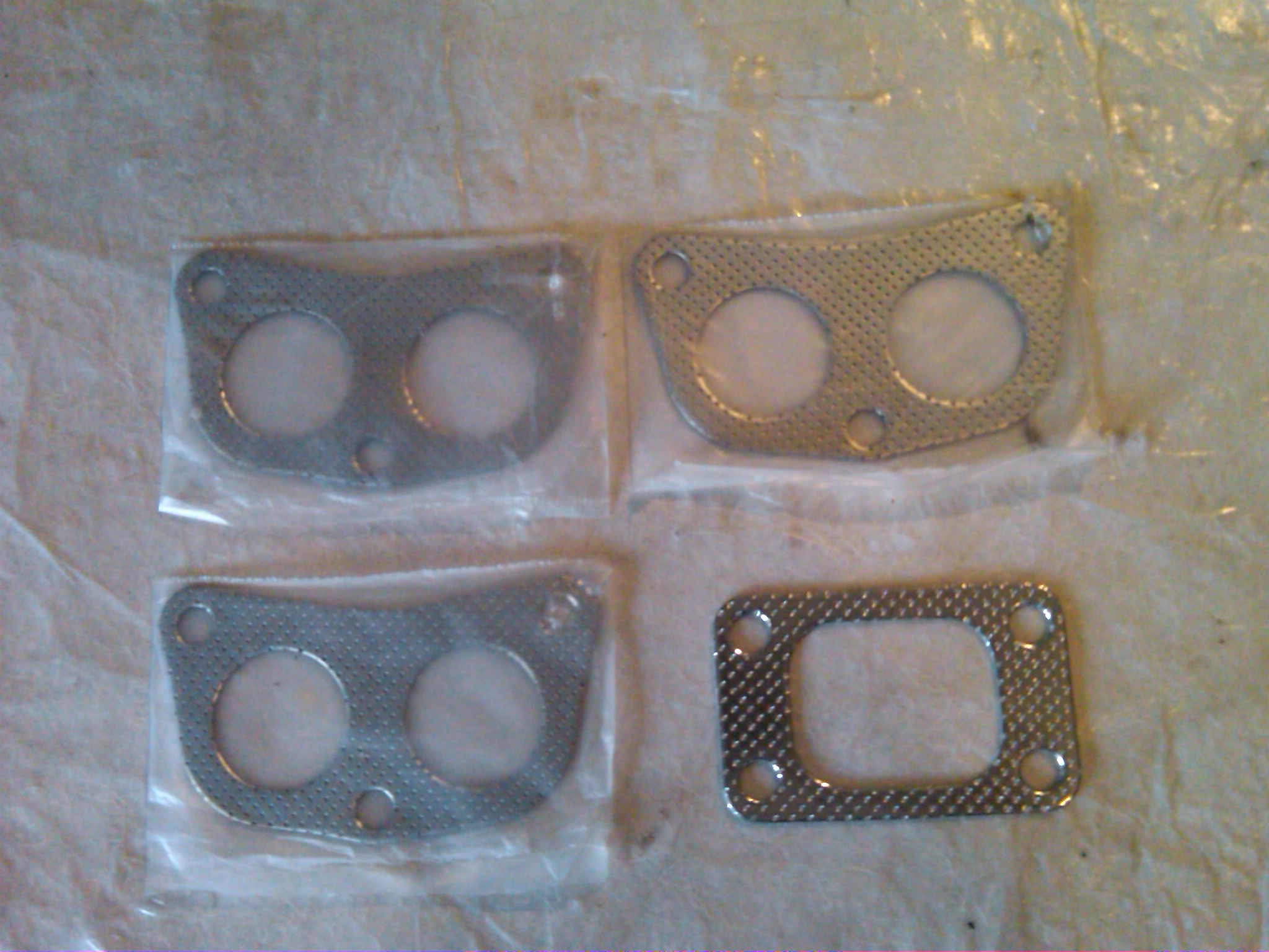 IMG01169-20110912-1825.jpg