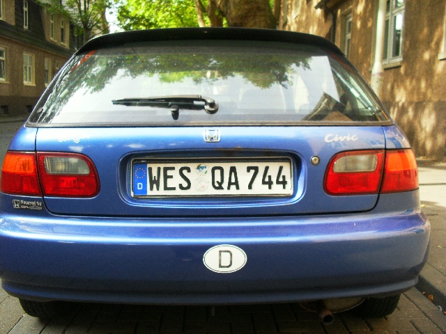 ov_sam_3455.jpg