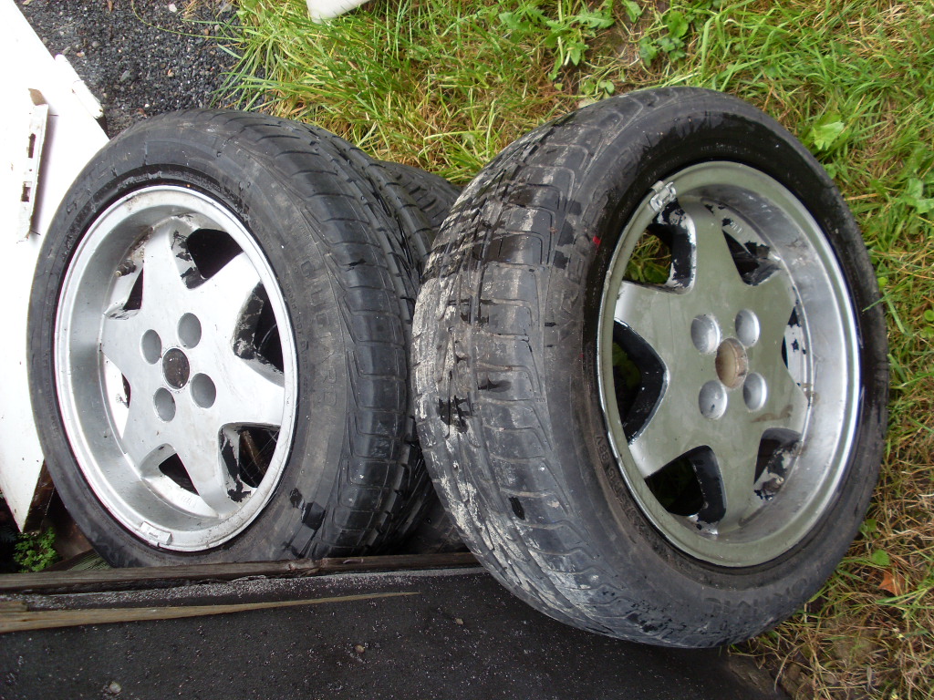 SL383073.JPG