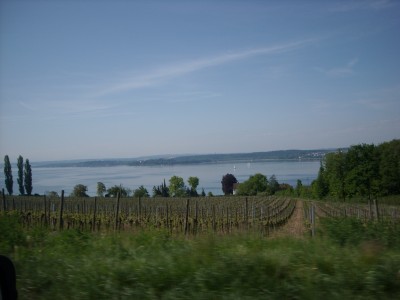 DSCN4424.JPG