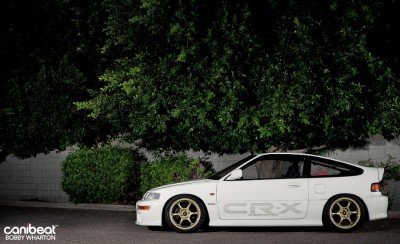 mugen1.jpg