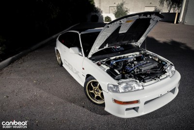 mugen3.jpg