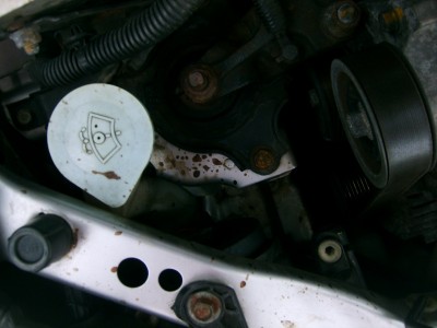 S5000211.JPG