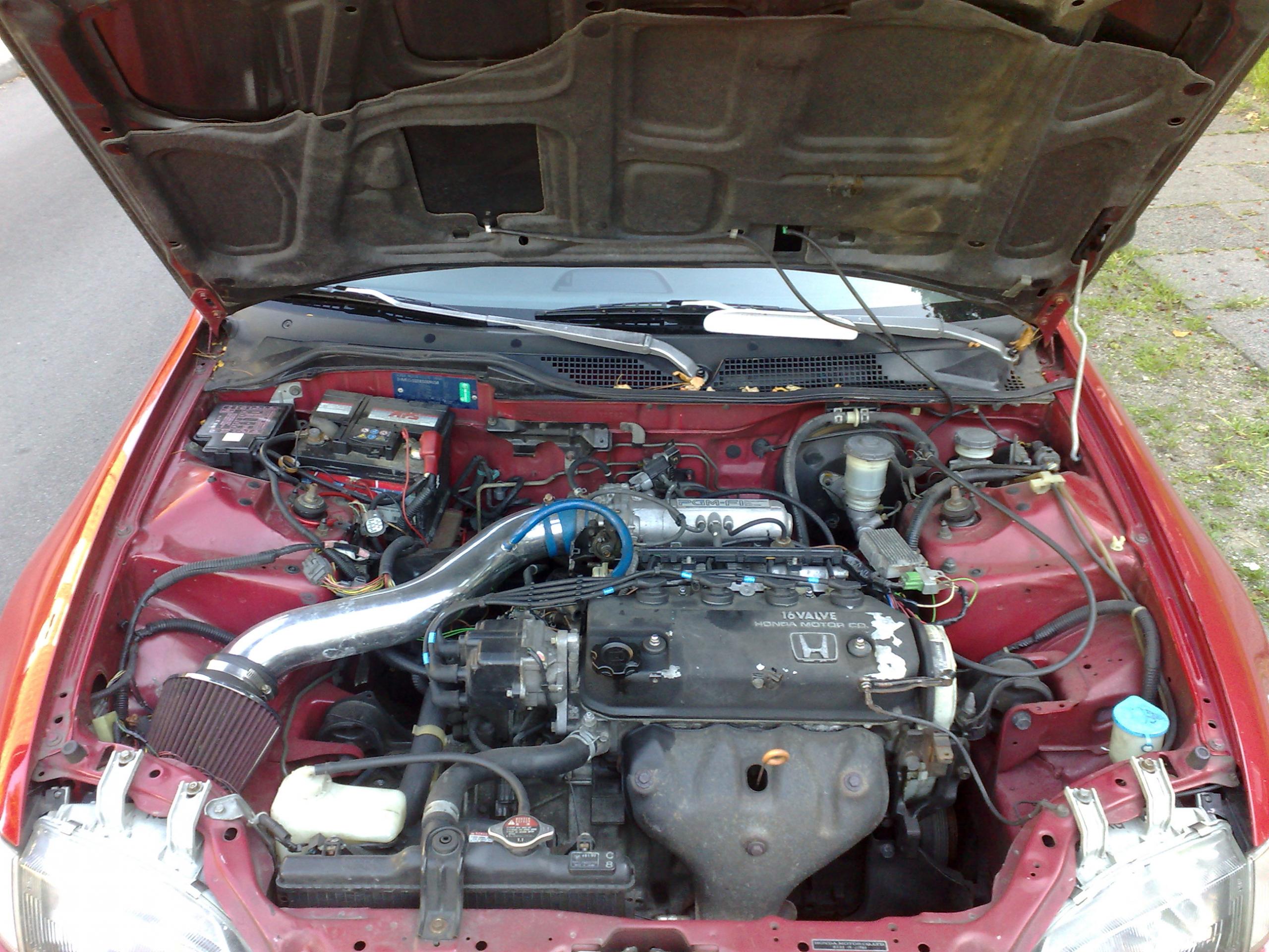 01102011737.jpg