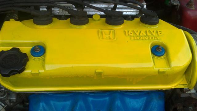 03102011096 (Small).JPG