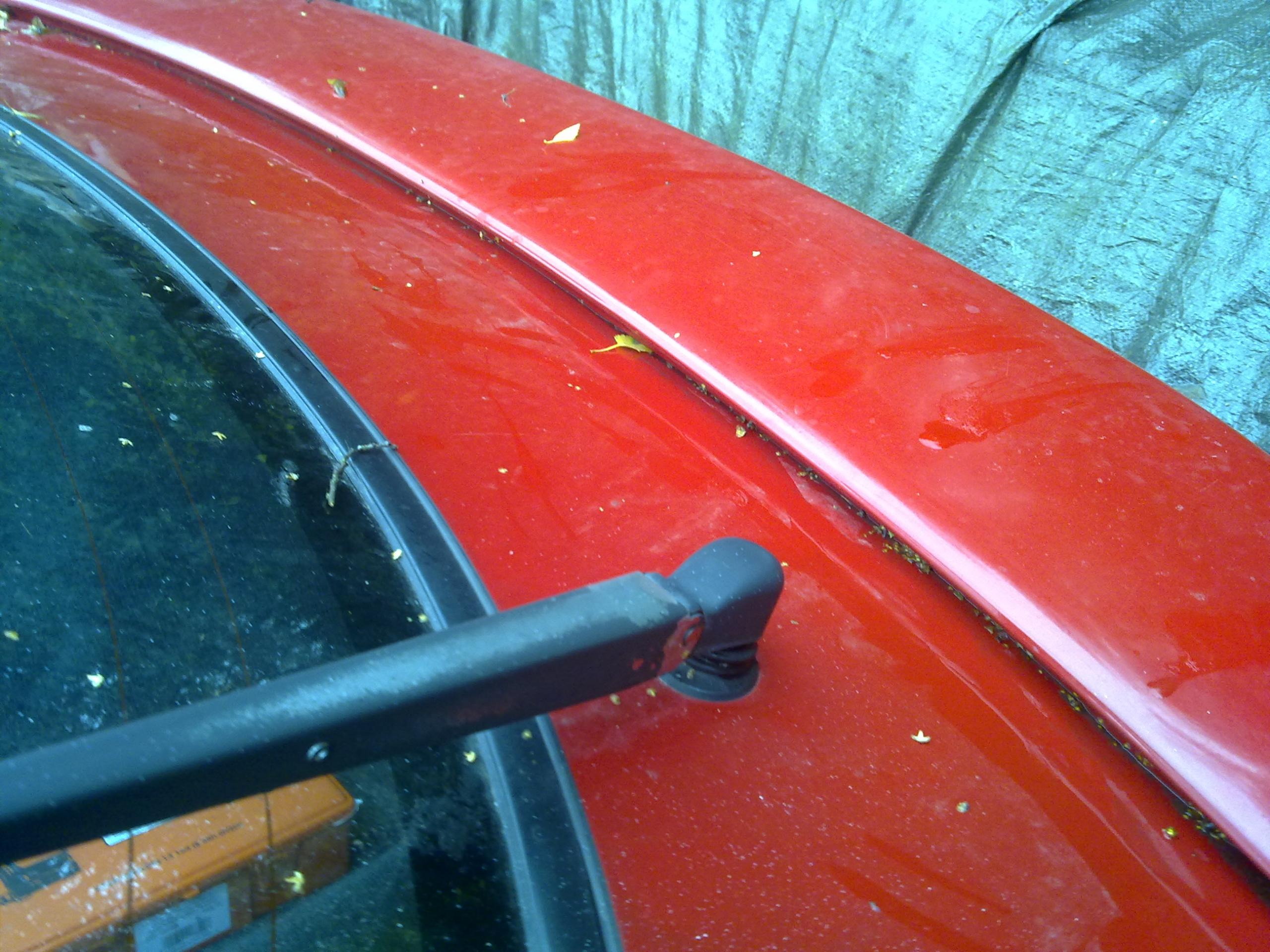 10102011110.jpg