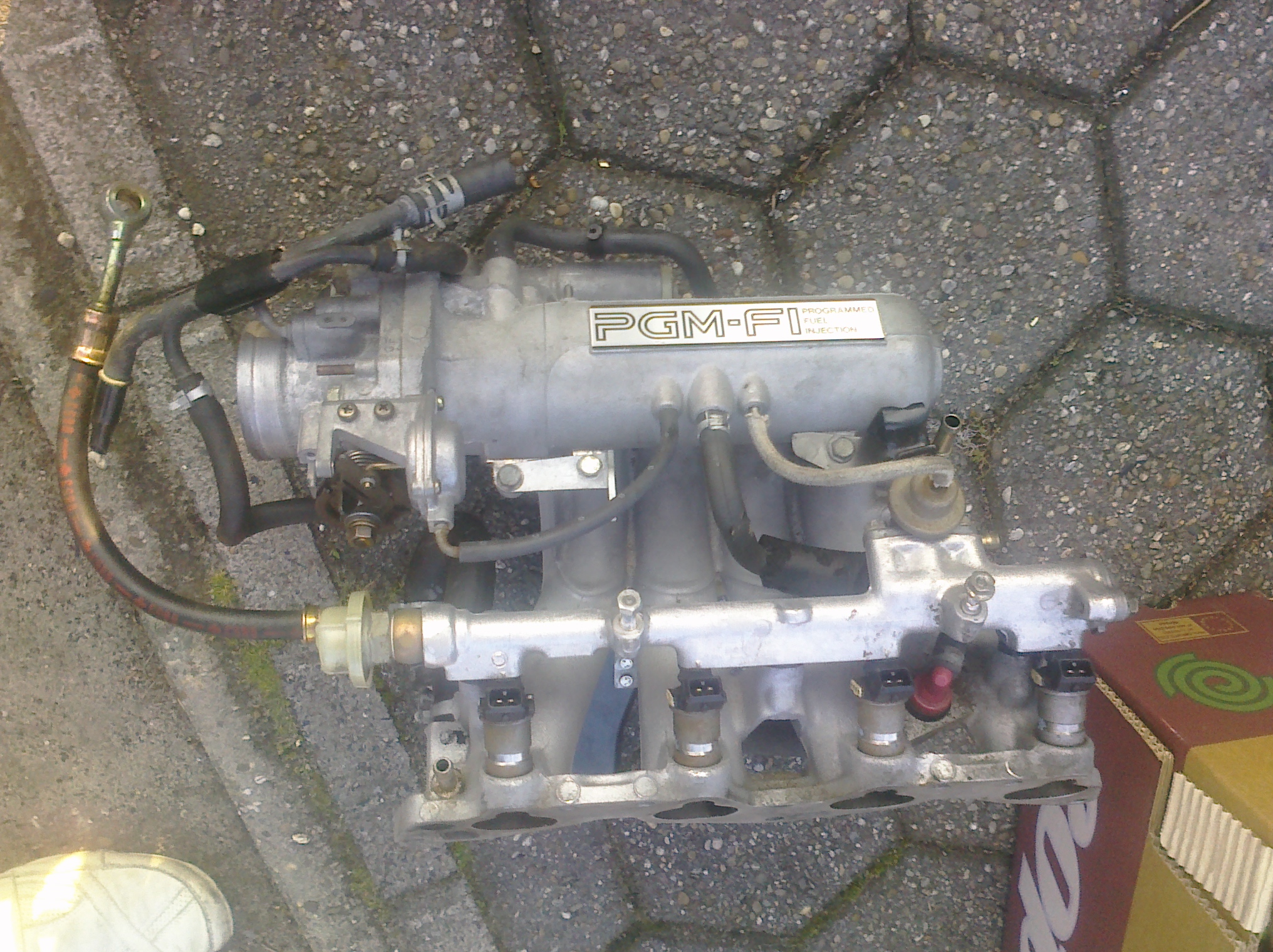 CIMG0144.jpg