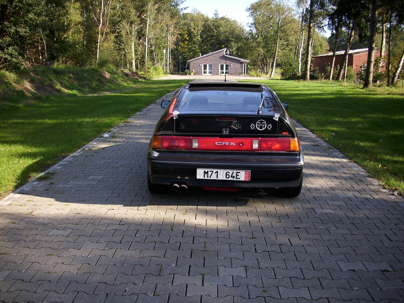DSCI0515.JPG