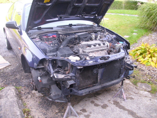 DSCI0860.JPG