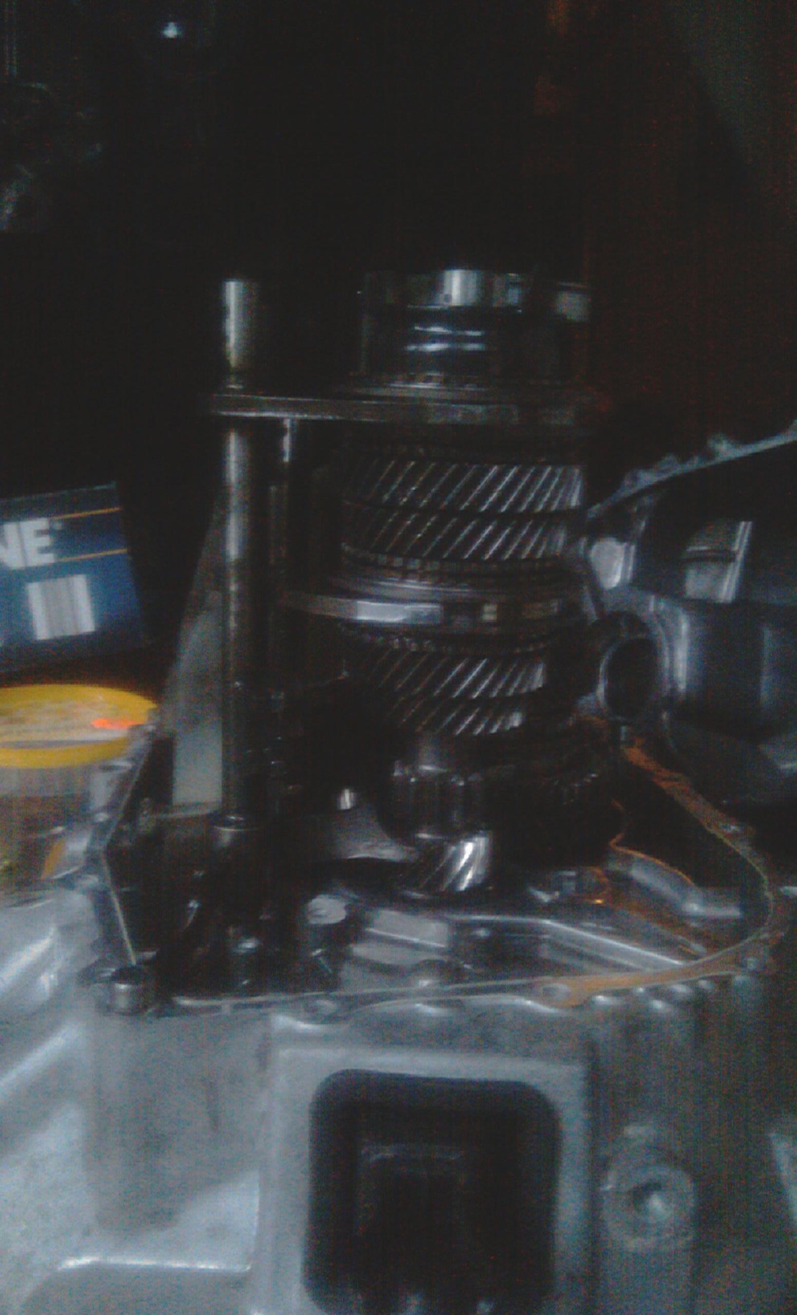 IMAG0155.jpg