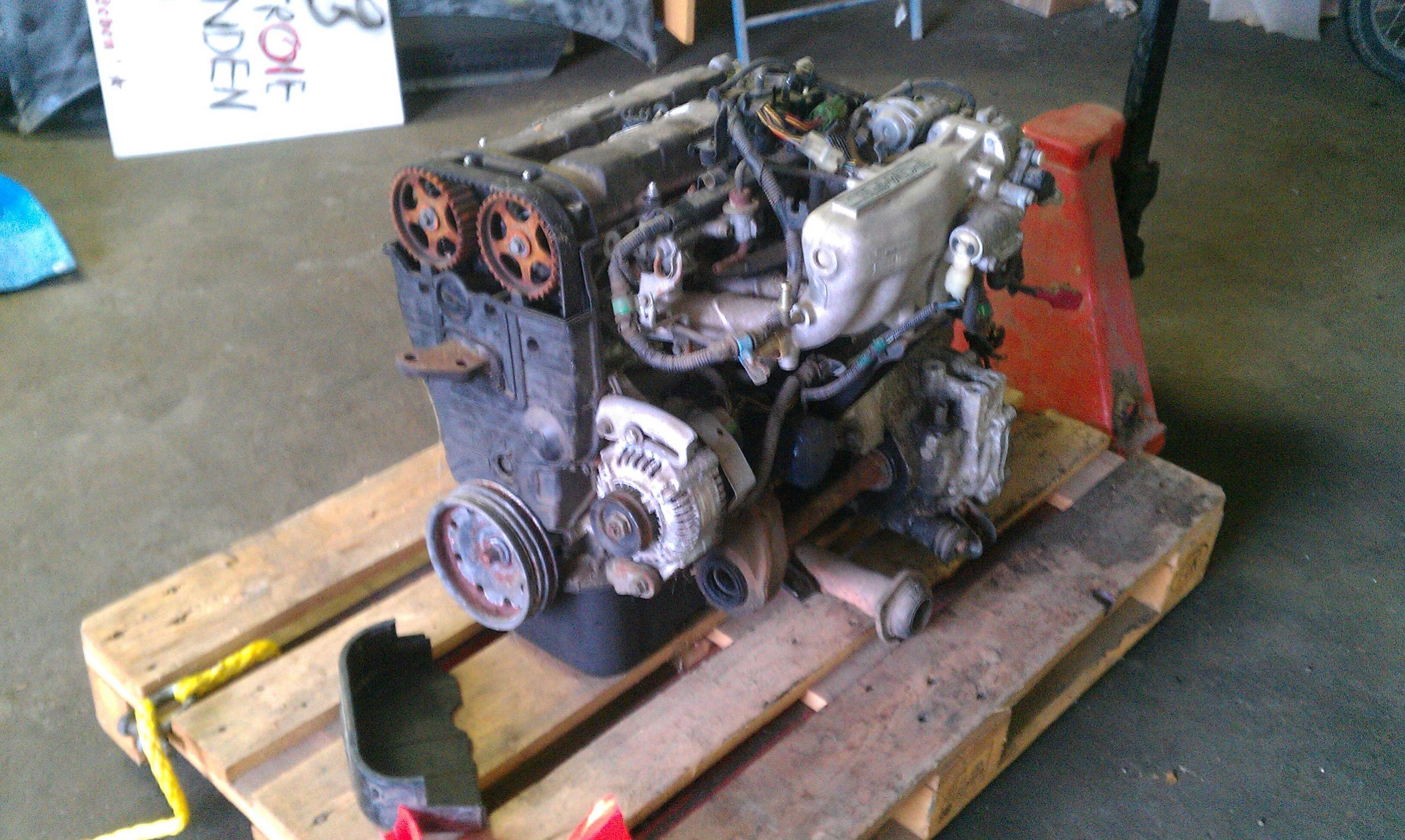 IMAG0252.jpg