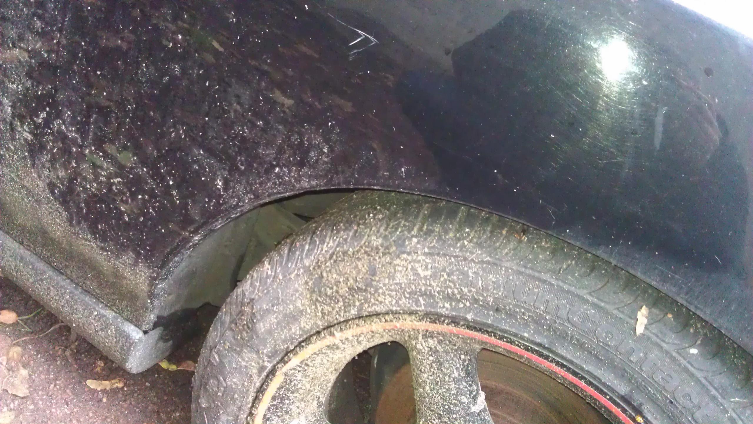 IMAG0429.jpg
