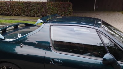 10092010411.jpg