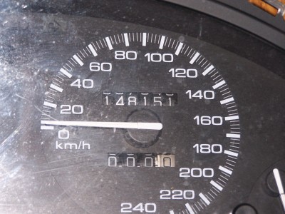 100_6266.JPG