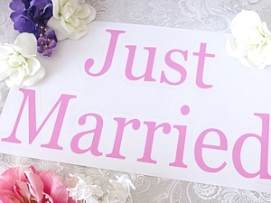 windowcarstickers_justmarried_pink_submain.jpg