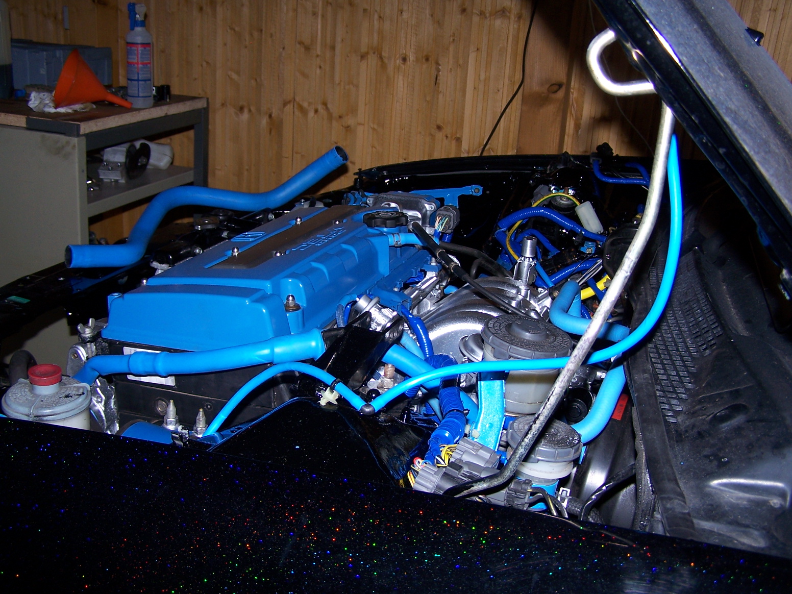 100_6419.JPG