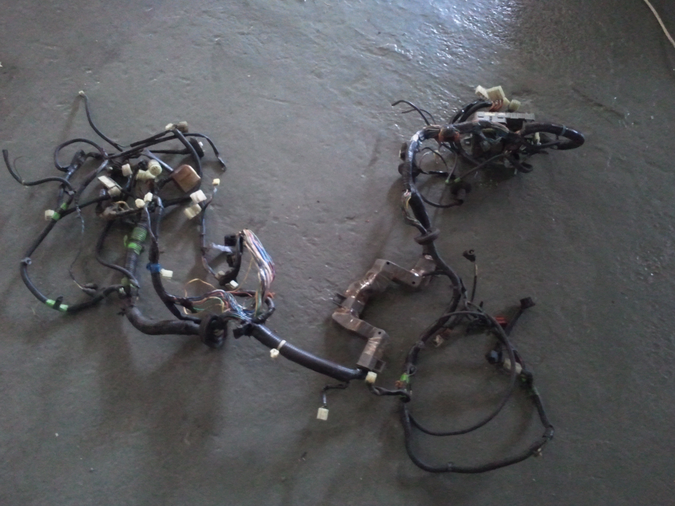 2011-11-05 13.01.43.jpg