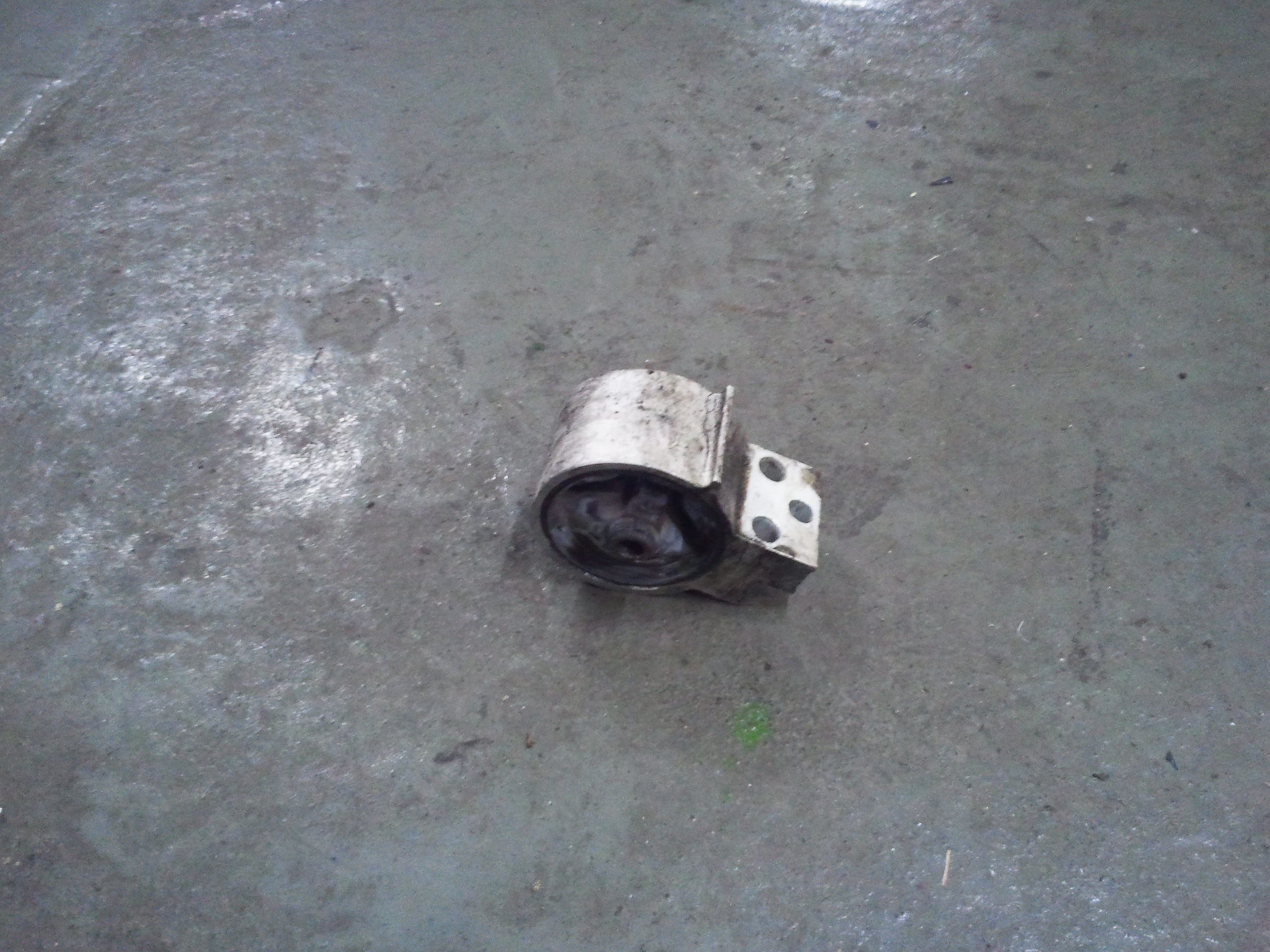 2011-11-05 16.19.45.jpg