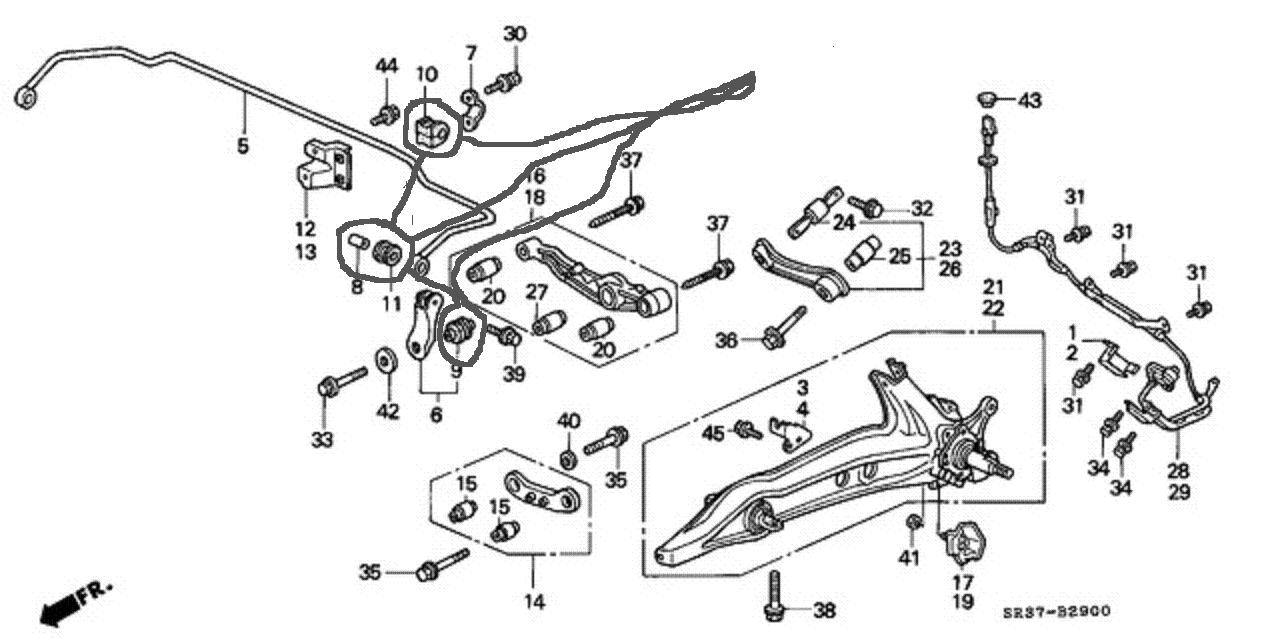 B__2900.jpg
