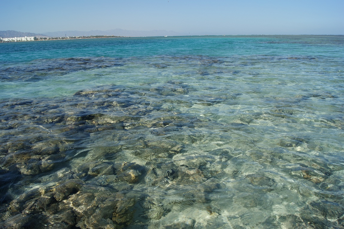 DSC01775.JPG