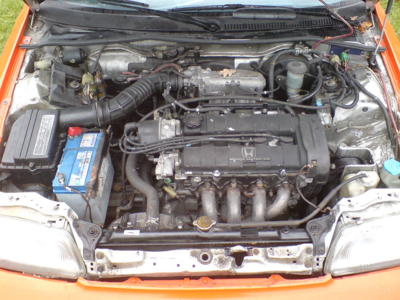 DSC06789.JPG