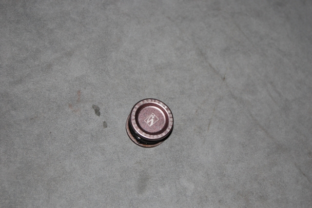 DSC_2829.JPG