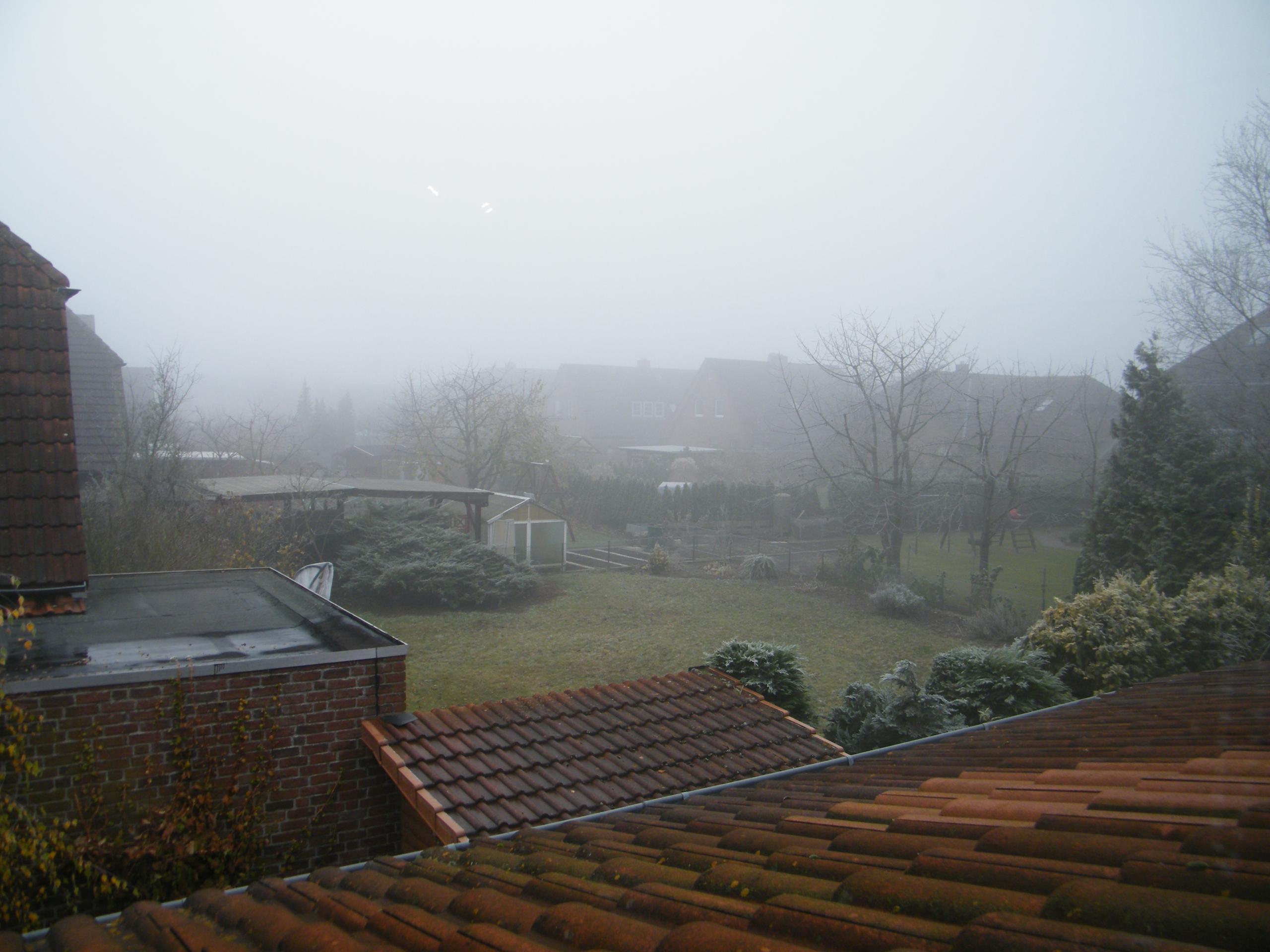 DSCF2480.JPG