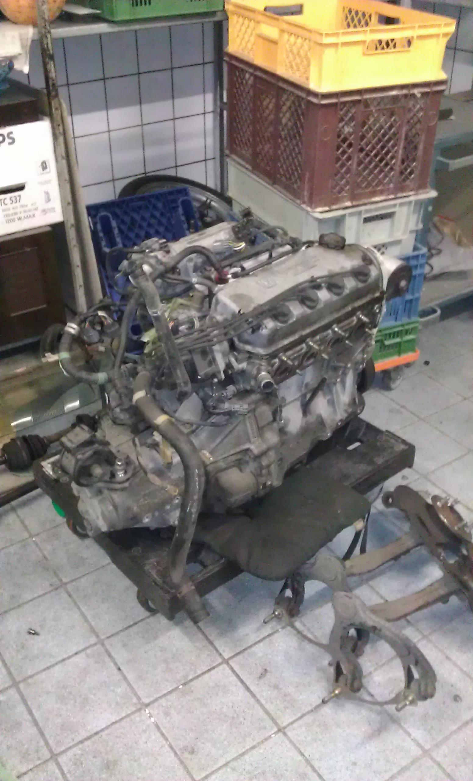 IMAG0124.jpg