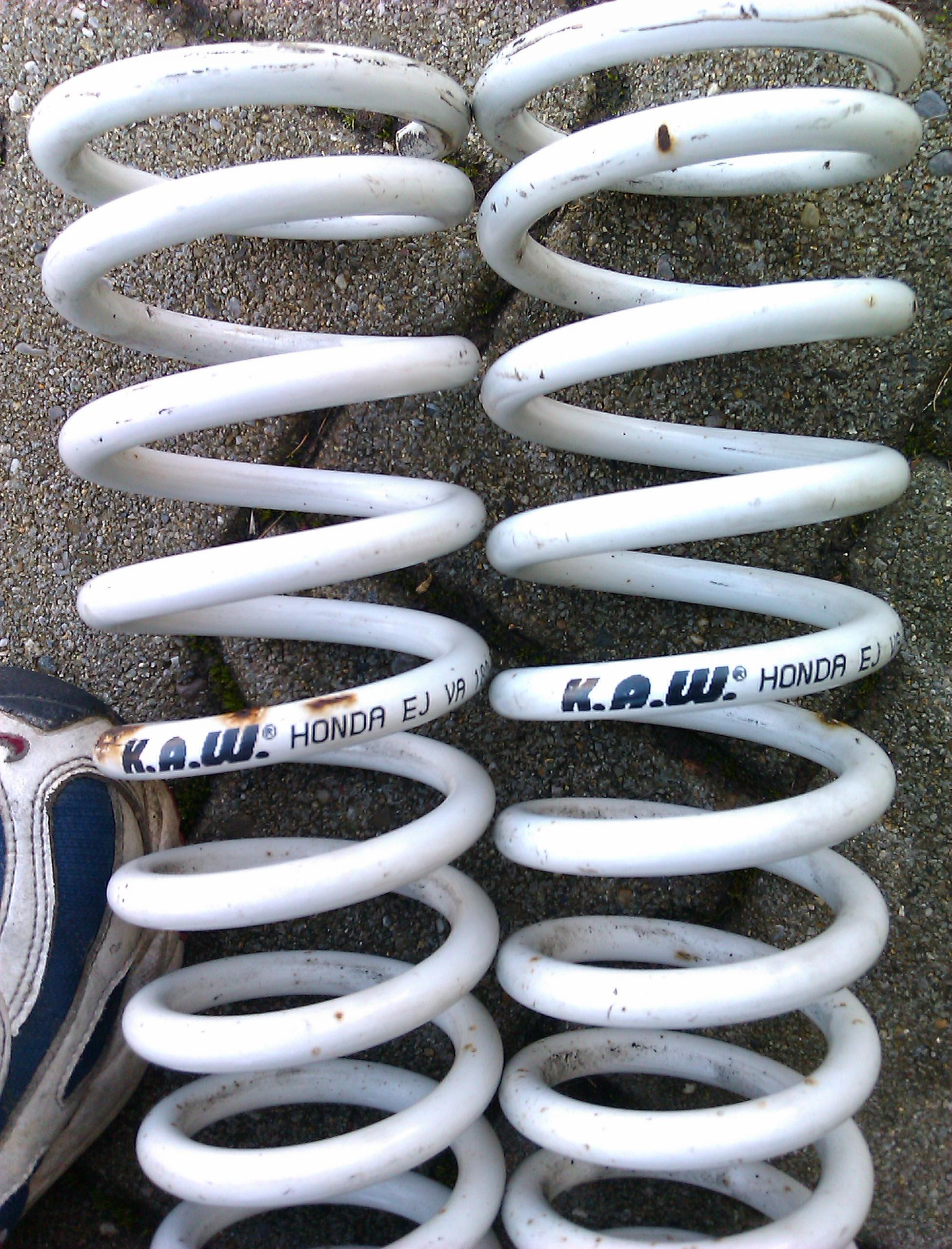 IMAG0513.jpg
