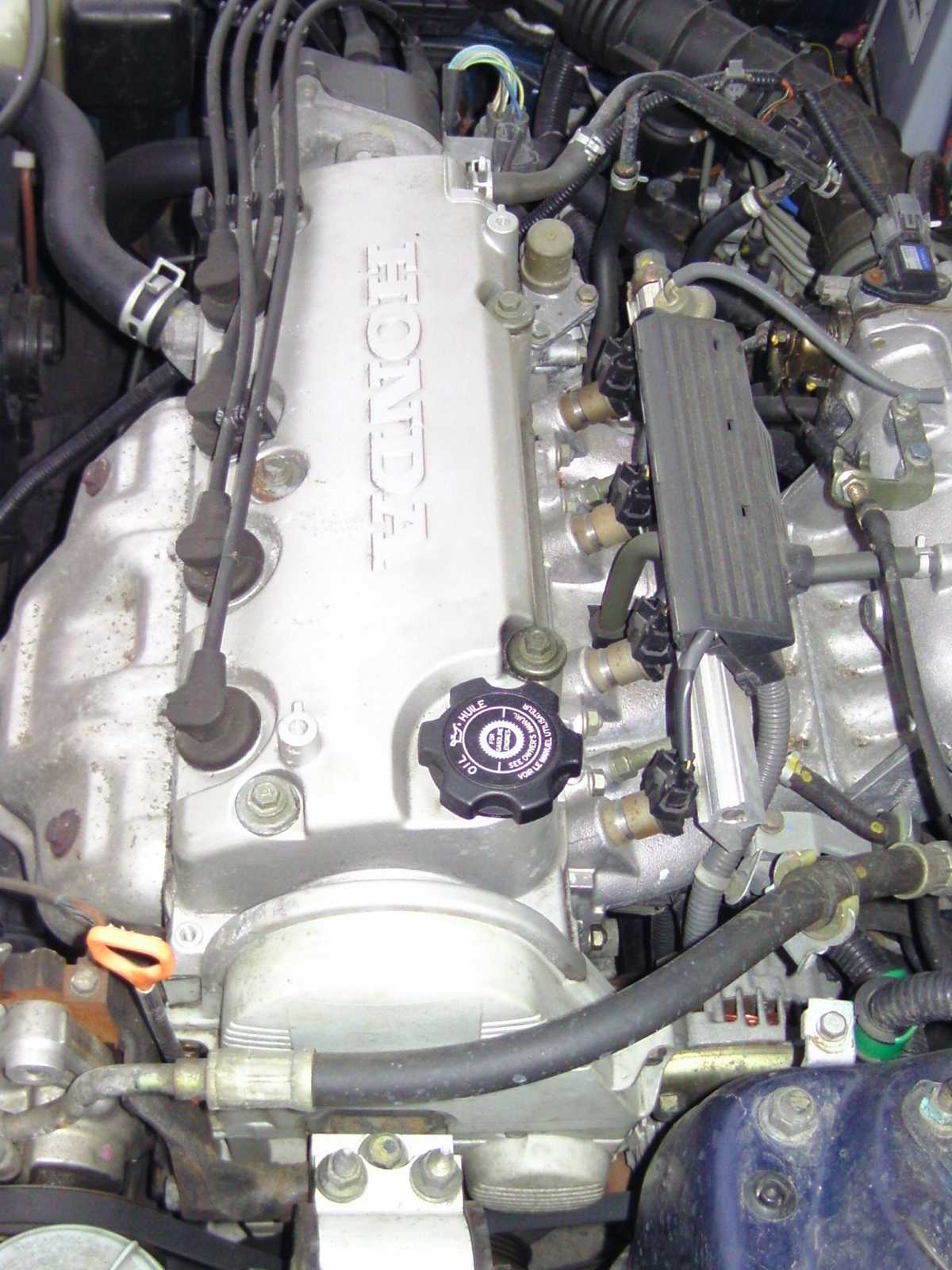 K1600_14.JPG