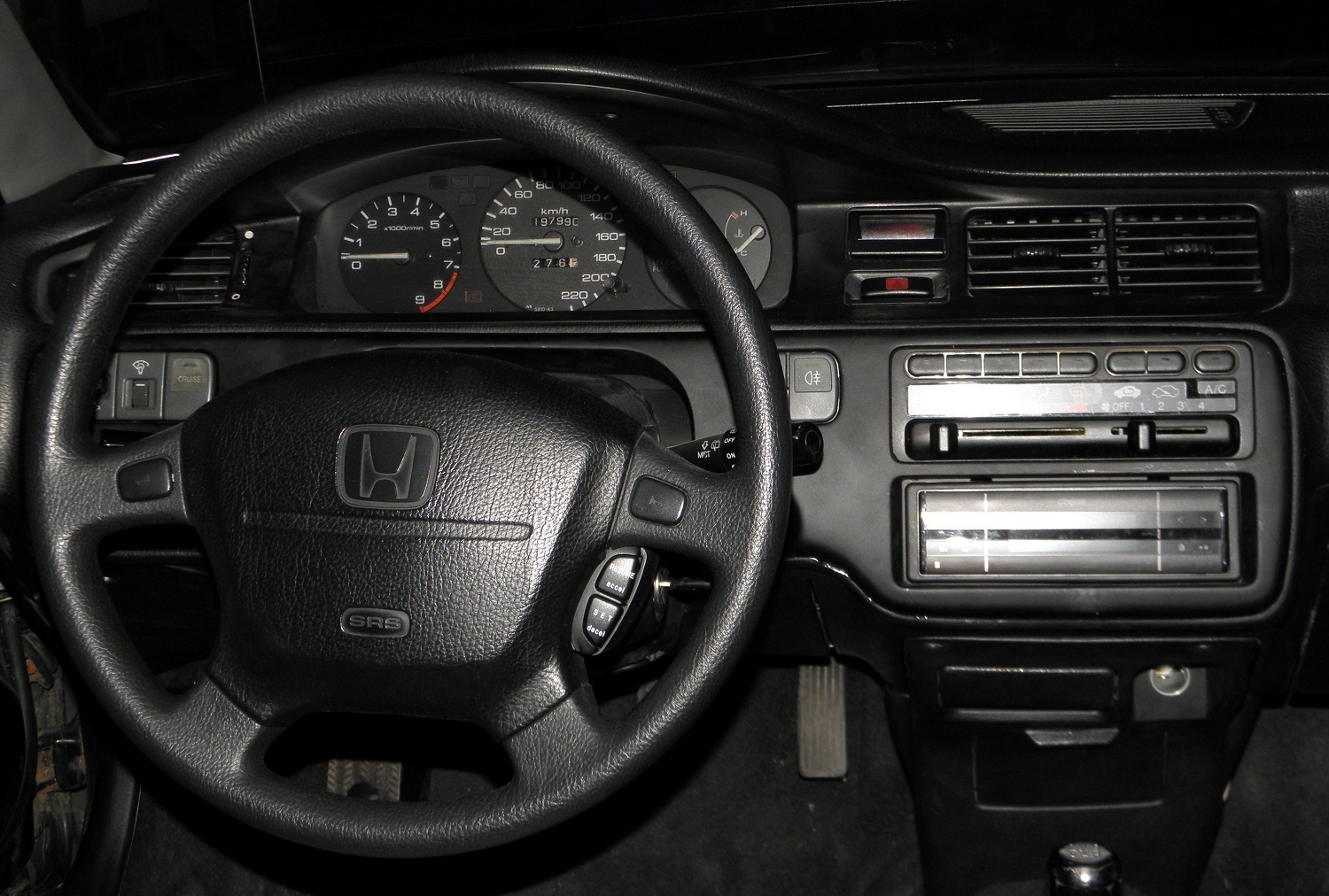 mixed 036.JPG