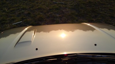 20042011461.JPG