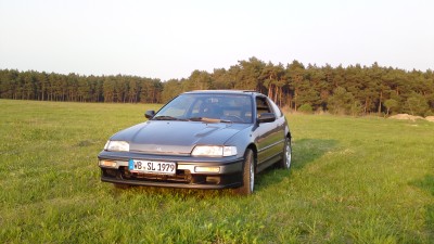 20042011463.JPG