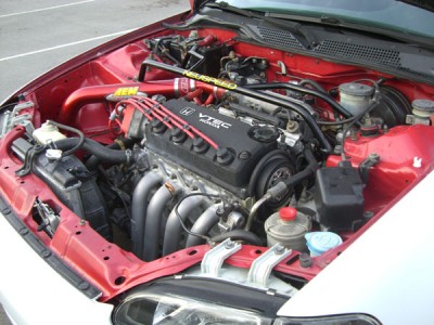 CIMG5539.jpg