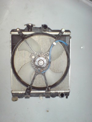 DSC06505.JPG